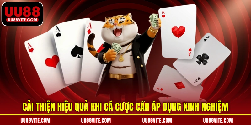 Cải thiện hiệu quả khi cá cược cần áp dụng kinh nghiệm